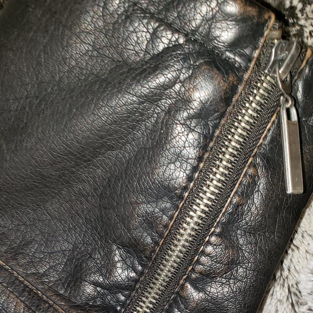 Jacket - Picture 3 of 5